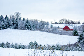 Old red barn in a  Wisconsin, snow covered forest © mtatman