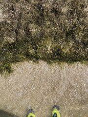 Abstract photo of dried and salty seaweed 