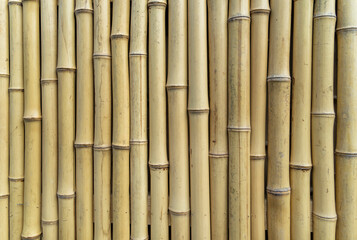 fence made of bamboo sticks - obrazy, fototapety, plakaty