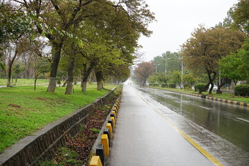 road in the countryside
