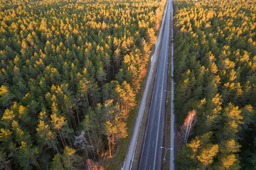 Drone view of road and forest in golden time
