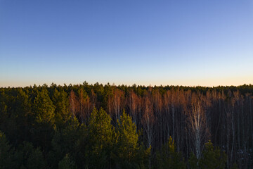 Fototapeta premium Drone photo of forests and groves in golden time