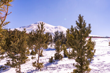 Ski slopes and Ski lifts. Small pine trees with snow. Mountain skiing and snowboarding. View of Erzurum city from Palandoken mountain