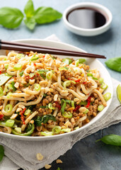 Pork, peanut udon noodles with pak choi, mangetout and red chili. Asian food