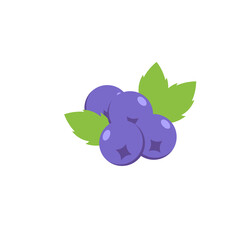 Blueberry icon design template vector isolated illustration