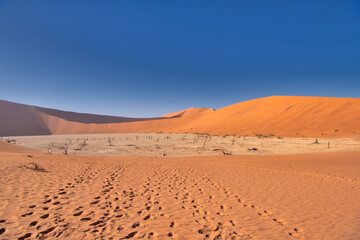 General view of Dead Vlei, Sossusvlei, Namibia