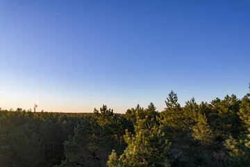 Drone photo of forests and groves in golden time