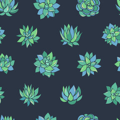 Seamless vector pattern of succulents. Background for greeting card, website, printing on fabric, gift wrap, postcard and wallpapers. 