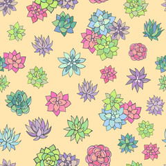 Seamless vector pattern of succulents. Background for greeting card, website, printing on fabric, gift wrap, postcard and wallpapers.
