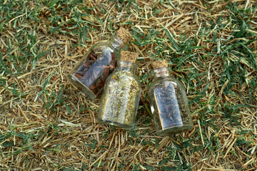 Herb jars for witchcraft ritual. Witchy concept.