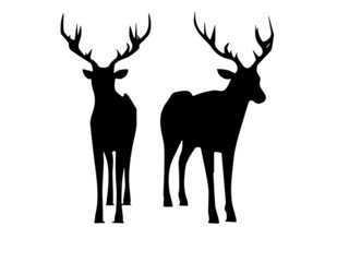 Silhouette of swamp deer, Swamp deer Illustration, Animal silhouette