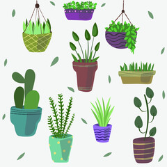 set of flowers in pots