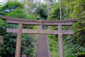 Fototapeta premium Torii gate and the stairs behind it