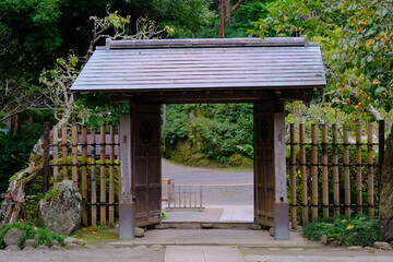 Gate of a house in the forest