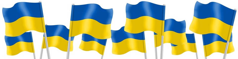 Ukrainian flags on a white background