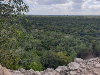 Jungle view Coba Mexico Yucatán