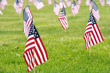 Close up of small American flags stuck in green grass 