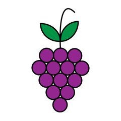 grape icon