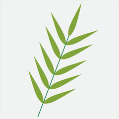 simplicity floral leaf drawing flat design.