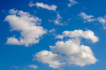 Naklejka na ściany i meble Beautiful white fluffy cloud floating in blue sky in sunny day, Cumulus are clouds which have flat bases and are often described as puffy, Horizon nature background with free copy space.