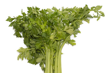 A bunch of celery. Isolated on white background.