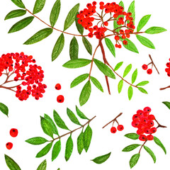 rowan berry pattern