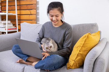Asian Woman Working at Home using Laptop While Pettinging Her Cat