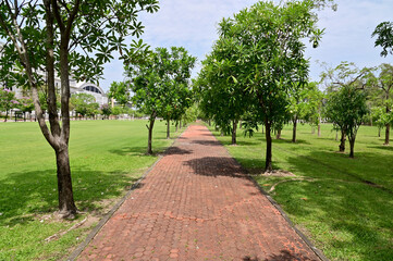 Garden walkways covered with stone slabs, nature background in the park at Thailand.