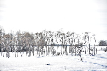 пасхальная весенняя композиция из солнышка и яйцо и вербы
