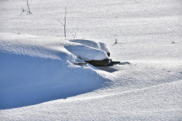пасхальная весенняя композиция из солнышка и яйцо и вербы