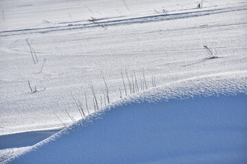 пасхальная весенняя композиция из солнышка и яйцо и вербы