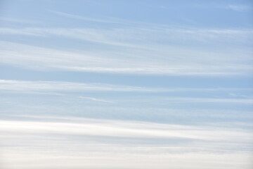 пасхальная весенняя композиция из солнышка и яйцо и вербы