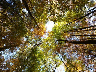 Herbstlich
