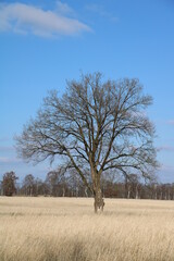 Wanderung auf dem Nordpfad 