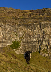 Hiking and Wild Camping, Binevenagh Mountain, Causeway coast and glens, area of oustanding natural beauty, County Londonderry, Northern Ireland