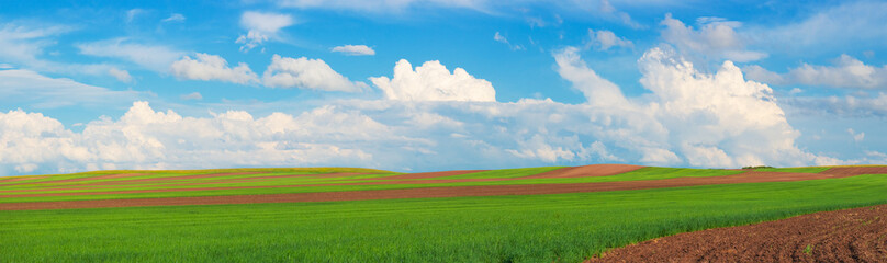 Summer panoramic landscape of the agriculture field under blue cloudy sky in Khakassia, Russia. Plowed field with planted and empty striped. Experimental farming with varieties of cereals