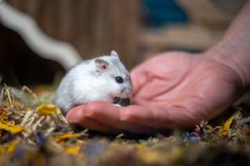 news from Littlefoot, I'm doing well