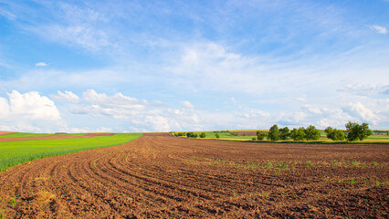 Landscape of the agriculture field under blue cloudy sky in Khakassia, Russia. Plowed field with planted and empty striped in summer time. Experimental agriculture with farming and food industry