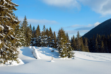 clearing in the winter mountains on a sunny day for outdoor activities and walks