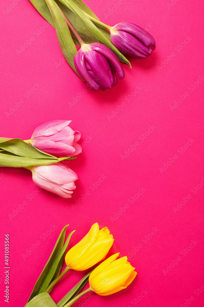 Poster tulips on color paper background