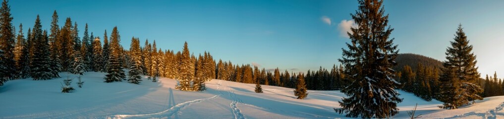 beautiful winter panorama in the mountains on a sunny day