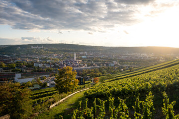 View from the hill near castle Steinburg with vineyard in the foreground to the the streets from Würzburg with the Marienberg Fortress in the background.