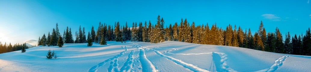 beautiful winter panorama in the mountains on a sunny day