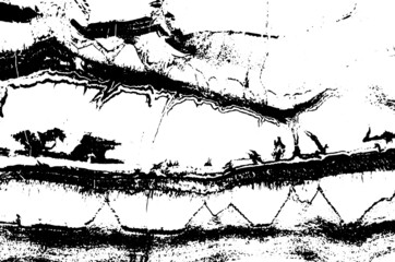 Fototapeta premium Rustic cracked vector texture with many cracks and scratches. Abstract background. Broken and damaged surface. Aged backdrop. Vector graphic illustration with transparent white. EPS10.