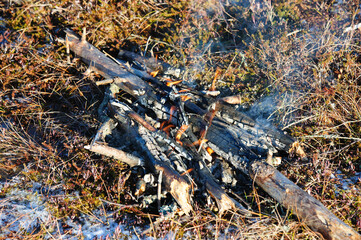 Fototapeta premium small campfire