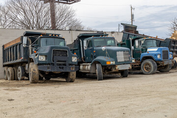 Four older green dump trucks waiting for the next trip. Three facing forward to pull out. Bare tree branches. Power lines. Concrete wall behind the trucks. Dirt parking lot. Cloudy sky. 