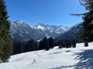 Fototapeta na wymiar Blick vom Berg Söllereck in Oberstdorf auf andere Berggipfel der Alpen.