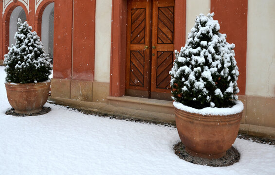 courtyard of a baroque garden. at the entrance to the castle there are two terracotta flower pots with conically cut yews in a pot covered with snow. wooden historic church door