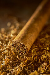 The cigar lies on the tobacco