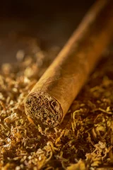 Rollo The cigar lies on the tobacco © Juri